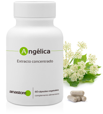 Contribuye al confort digestivo