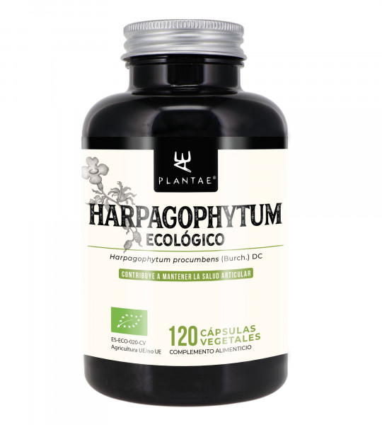 Harpagophytum ecológico